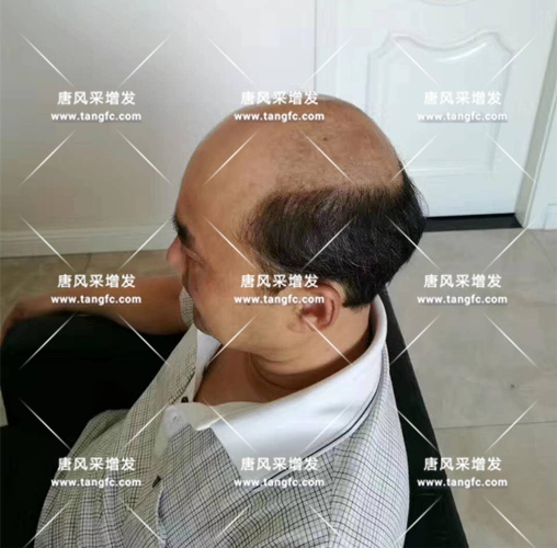 老年短假發(fā)全真發(fā)的好嗎？ 主要是用來遮白發(fā)的！