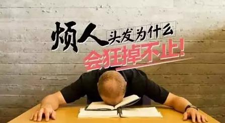 最近很少晚睡，脫起發(fā)來卻沒商量！